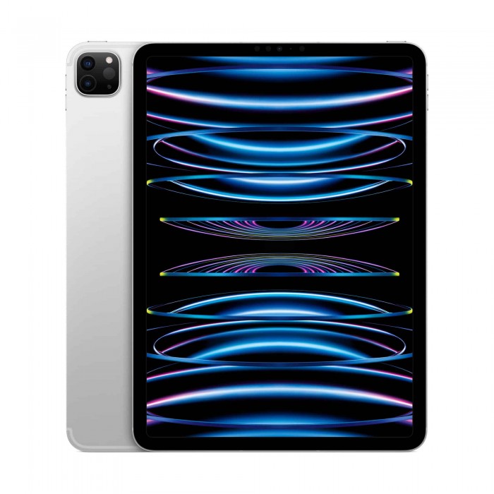 iPad Pro 11 2022 256Gb Wi-Fi + Cellular, серебристый