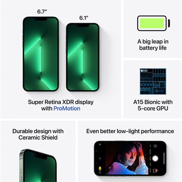 iPhone 13 Pro Max (Dual SIM) 256 ГБ «альпийский зелёный»